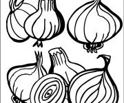 Coloriage Plusieurs Oignons