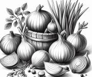 Coloriage Plusieurs Oignons dans un panier