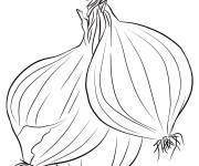 Coloriage Trois Oignons r&eacute;aliste