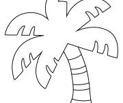 Coloriage Arbre de Palmier pour ce1
