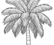Coloriage Arbre palmier petit section en miniature
