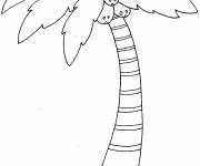 Coloriage et dessins gratuit Cocotier et palmier imprimable à imprimer