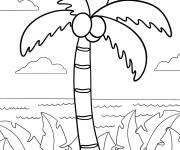 Coloriage Cocotier tropical