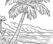 Coloriage Coloriage de palmier sur une plage tropicale