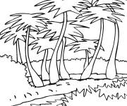 Coloriage Contours de Palmiers