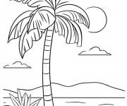 Coloriage Coucher de soleil derri&egrave;re un palmier