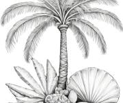 Coloriage Des coquilles avec un palmier