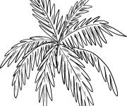 Coloriage Des feuilles de palmier