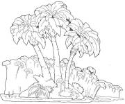 Coloriage Des Palmiers r&eacute;alistes