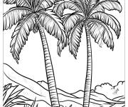 Coloriage Deux arbre de palmier dans l'oasis en noir et blanc