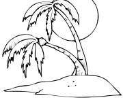 Coloriage Deux Palmiers