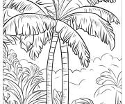 Coloriage Deux palmiers &acirc;g&eacute; dans un foret tropicale