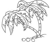 Coloriage Deux palmiers descendants sur la plage