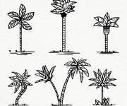 Coloriage Ensemble de palmiers &agrave; la main