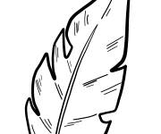 Coloriage Feuille de palmier