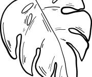 Coloriage Feuille de palmier dessin&eacute; &agrave; la main