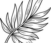 Coloriage Feuille de palmier tropical