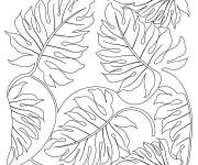 Coloriage Feuilles de palmiers en collection adorable