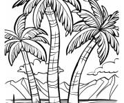 Coloriage Foret de palmiers