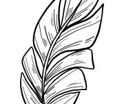 Coloriage Illustration de feuille de palmier