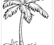 Coloriage L'herbe sous un arbre de palmier