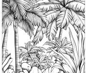 Coloriage La nature magnifique avec de la foret tropicale et les palmier