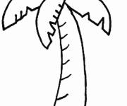 Coloriage et dessins gratuit Long palmier avec un tronc tr&eacute;s long à imprimer
