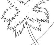 Coloriage Mod&egrave;le de Palmier