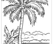 Coloriage Oasis de palmier en couleurs