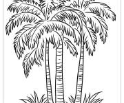 Coloriage Oasis de palmier en ligne