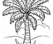 Coloriage Page &agrave; colorier de palmier en ligne