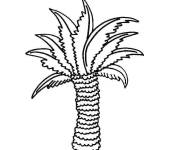 Coloriage Palmier &agrave; dessiner