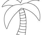 Coloriage Palmier arbre tropical gratuit