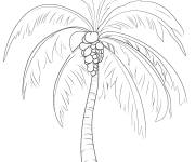 Coloriage Palmier avec ces fruits