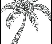 Coloriage Palmier avec d&eacute;coration anti-stress