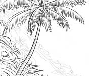 Coloriage Palmier dans une for&ecirc;t tropicale