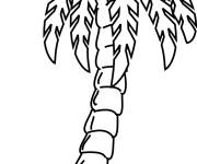 Coloriage Palmier de nature