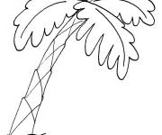 Coloriage Palmier des iles &eacute;quatoriales