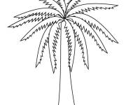 Coloriage Palmier en ligne
