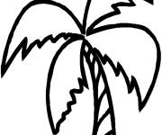 Coloriage et dessins gratuit Palmier en noir et blanc à imprimer