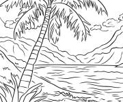 Coloriage Palmier et noix de coco tombant