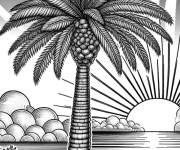 Coloriage Palmier fantastique sur la plage