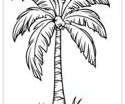 Coloriage Palmier fruit&eacute; pour ce1