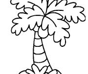 Coloriage et dessins gratuit Palmier petit section à imprimer