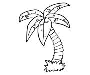 Coloriage Palmier plante