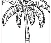 Coloriage Paysage de palmier avec fond &agrave; colorier