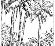 Coloriage Paysage d&eacute;taill&eacute; de oasis de palmiers