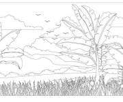 Coloriage Photo de vue de palmiers