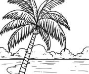Coloriage Plage avec un arbre de palmier ag&eacute;