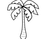 Coloriage Plante arbre palmier &agrave; dessiner en ligne